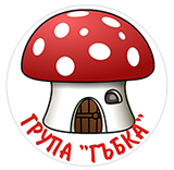 Група Гъбка
